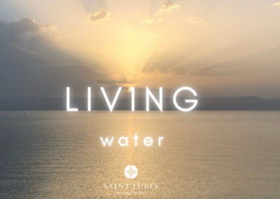 Living Water with the Rev. Richmond R. Webster, Lesson 16